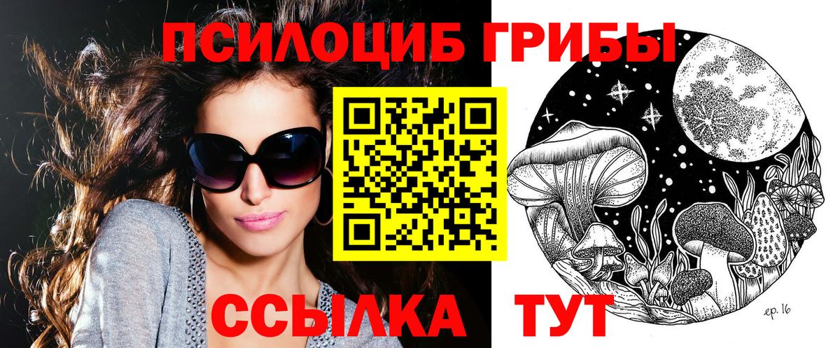 Галлюциногенные грибы Psilocybe Сальск