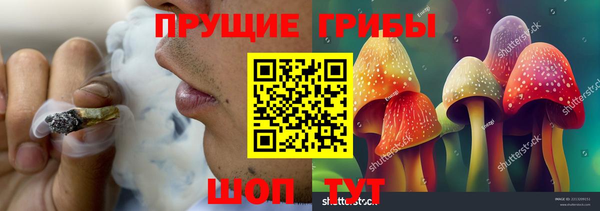 Галлюциногенные грибы Magic Shrooms  Галлюциногенные грибы MAGIC MUSHROOMS  Вход с VPN  Сальск 
